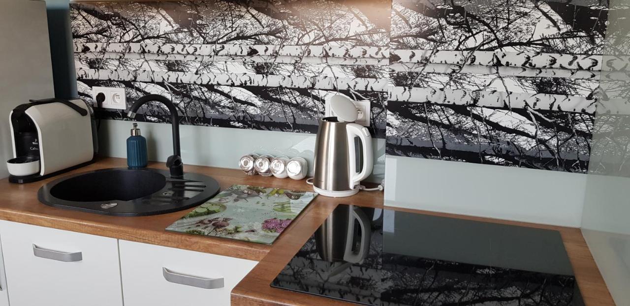 Apartament Centrum ブィドゴシュチュ エクステリア 写真